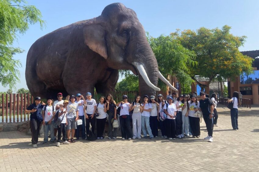 Sortie au zoo – Collège